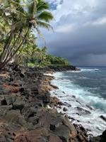 Traumhafte palmengesäumte Lava-Küste auf Big Island