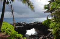 Traumhafte palmengesäumte Lava-Küste auf Big Island