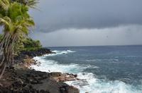 Traumhafte palmengesäumte Lava-Küste auf Big Island