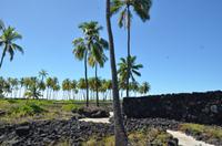 Spaziergang durch den Puuhonua O Honaunau National Historical Park
