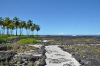 Spaziergang durch den Puuhonua O Honaunau National Historical Park