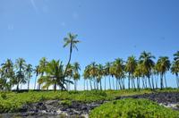 Spaziergang durch den Puuhonua O Honaunau National Historical Park