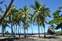 Spaziergang durch den Puuhonua O Honaunau National Historical Park
