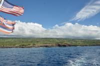 Eben einen Delfin gesichtet!