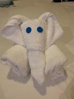 Kunstwerke des freundlichen Kabinenpersonals an Bord