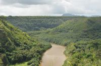 Der Wailua Fluss von oben