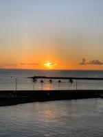 Und täglich grüßt das Murmeltier hier in Hawaii