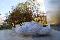 9 A Rose for Lilly Disney