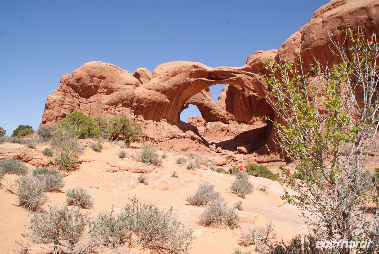 133 Arches National Park