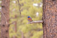 150 Bryce Canyon National Park