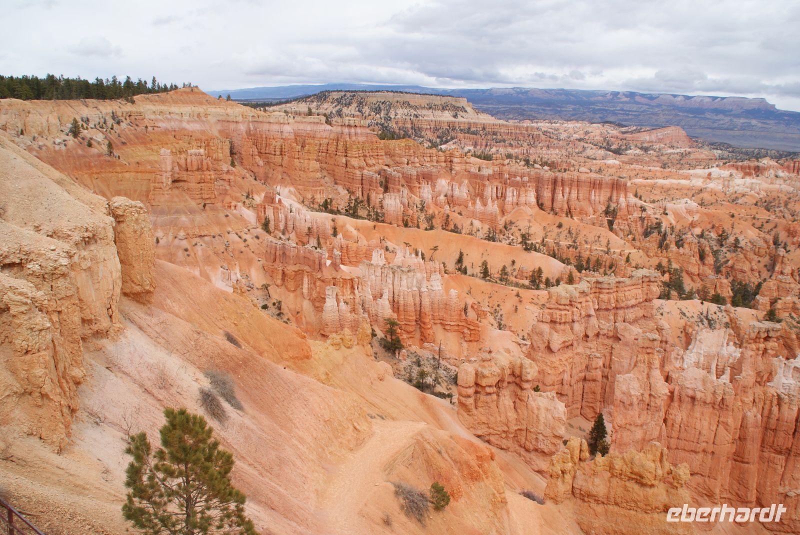 153 Bryce Canyon