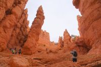 155 bergab Wallstreet