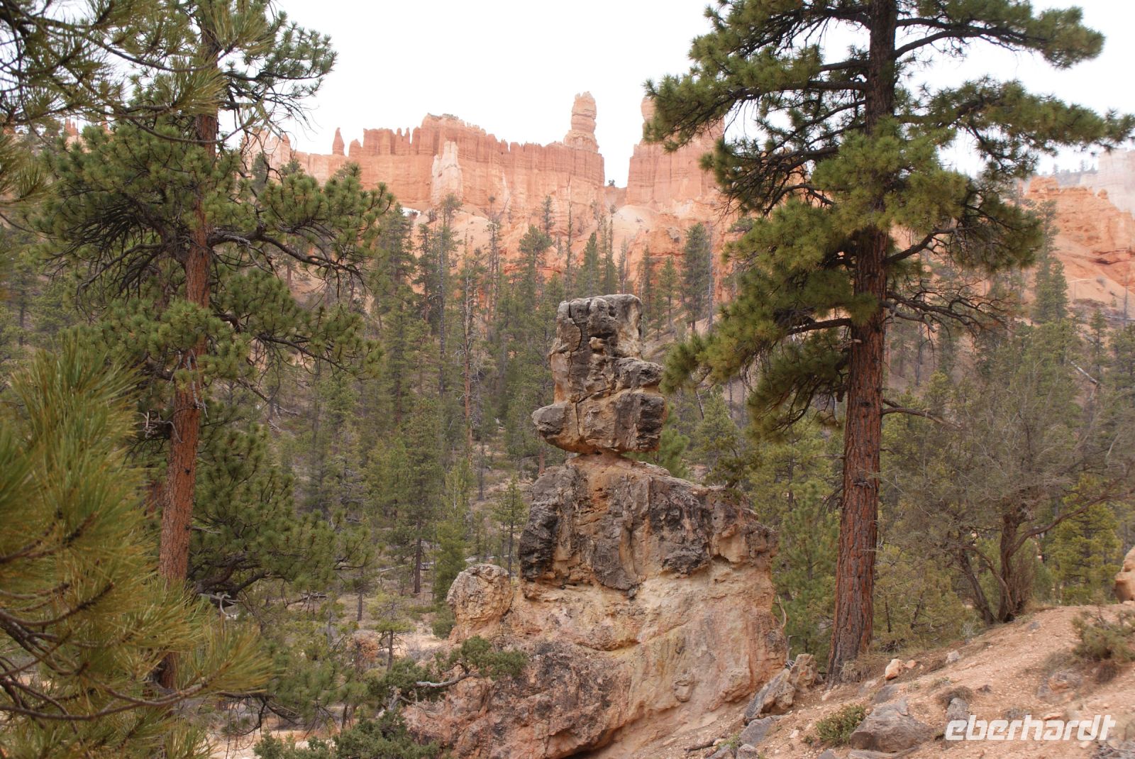 156 entlang des Queen Garden Trails 