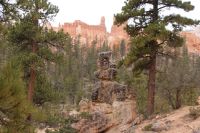 156 entlang des Queen Garden Trails 