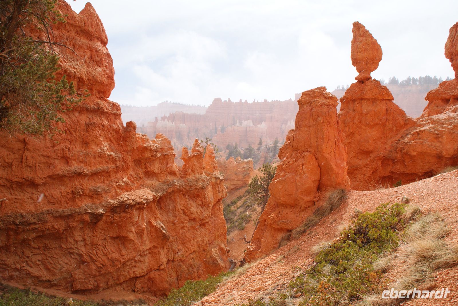 158 Bryce Canyon