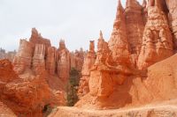 159 Hoodoos Bryce Canyon