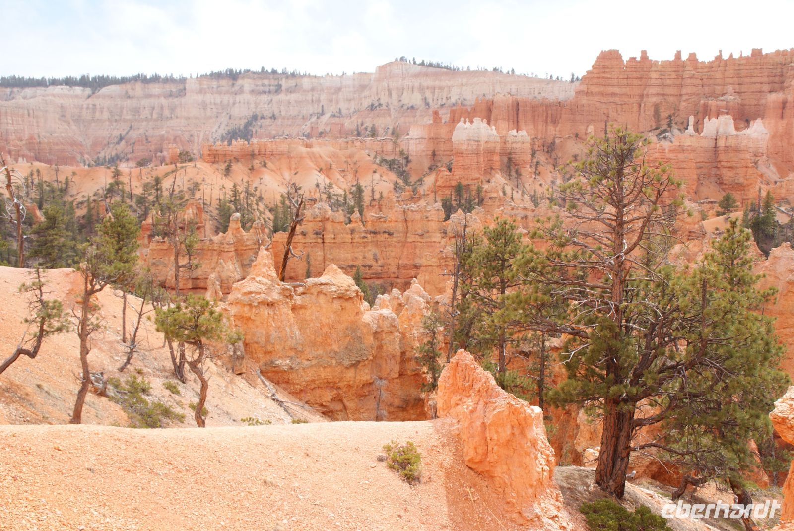 160 Bryce Canyon