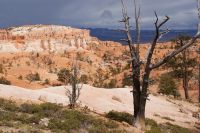 161 Bryce Canyon