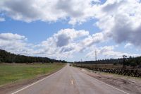 169 on the road again