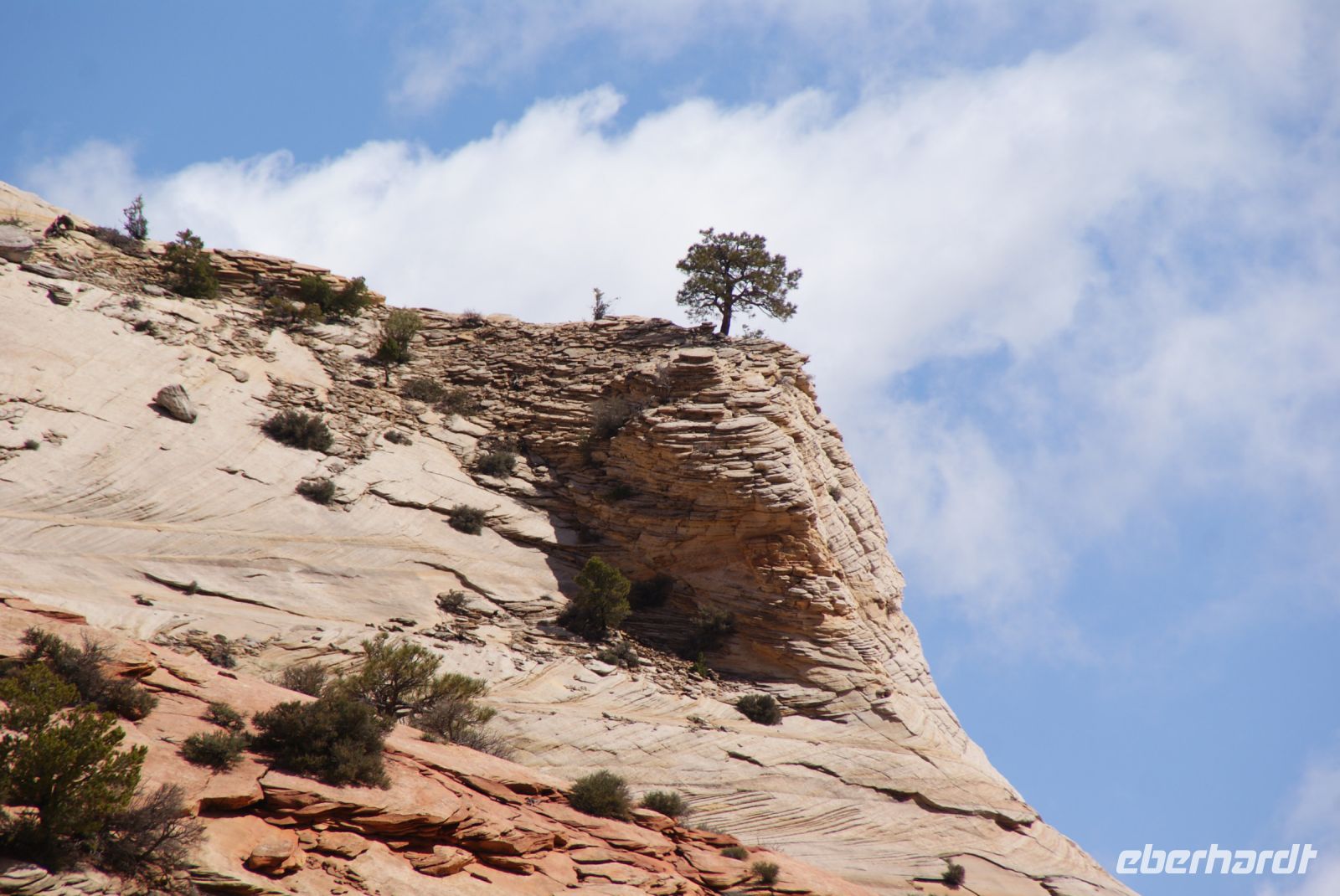 171 Zion Nationalpark