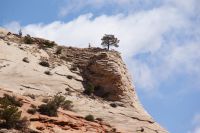 171 Zion Nationalpark