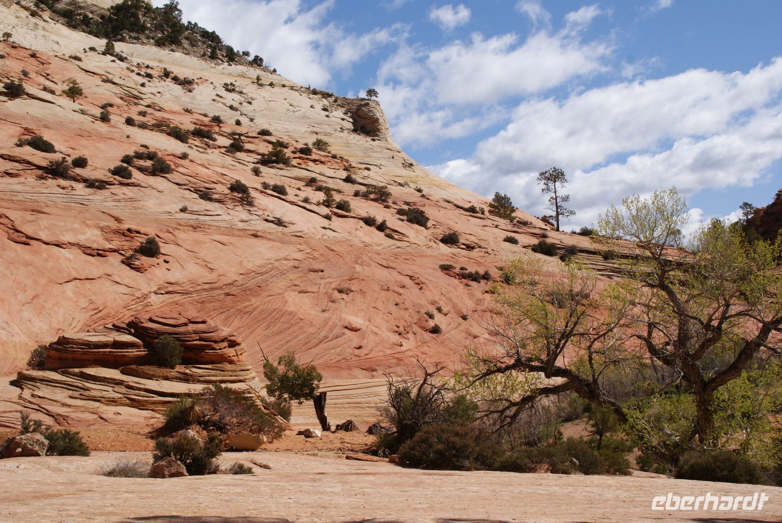 173 Zion Nationalpark