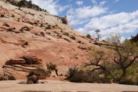 173 Zion Nationalpark