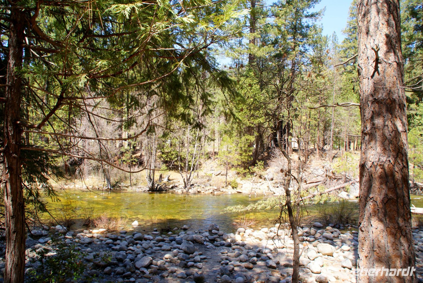 205 Picknick am Wawona Fluss