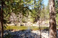 205 Picknick am Wawona Fluss