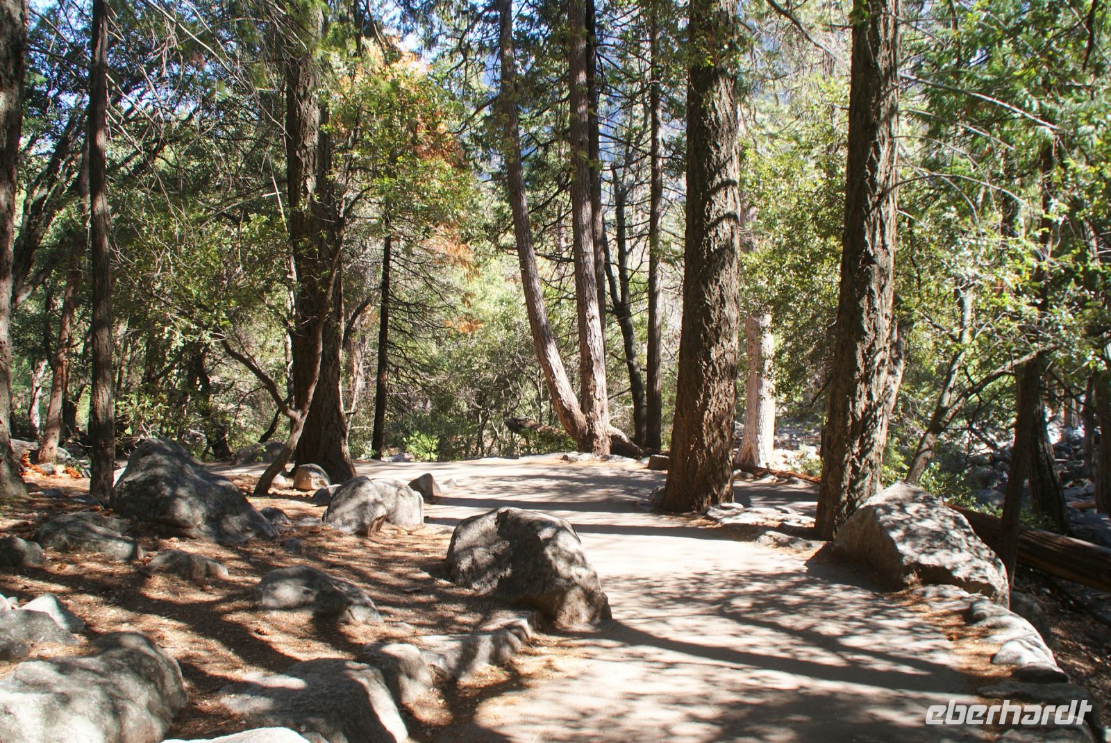 211 Spaziergang Yosemite NP