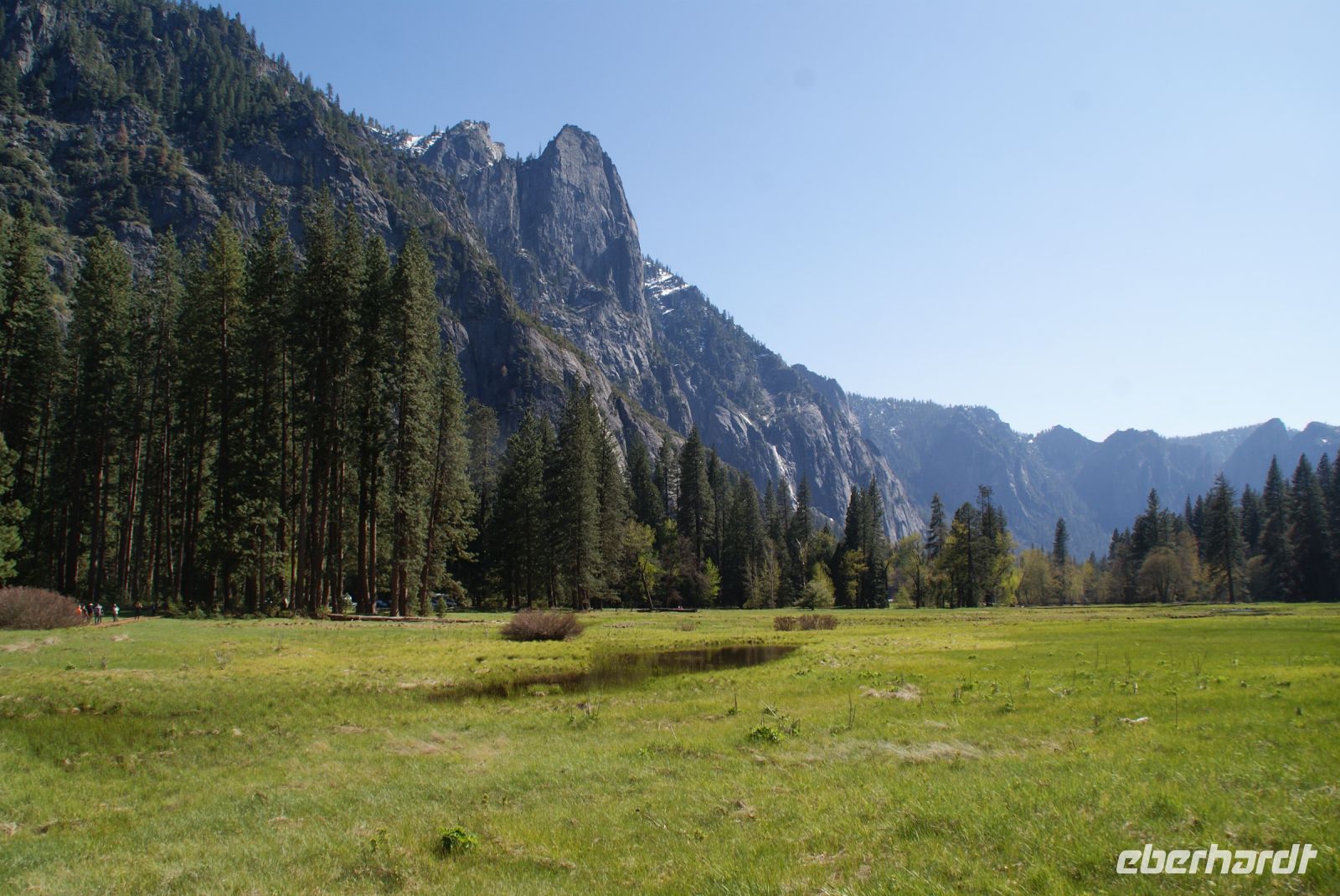 214 saftige Wiesen im Yosemite NP