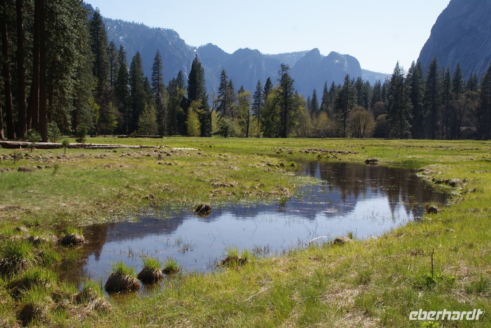 215 Frühling im Yosemite NP