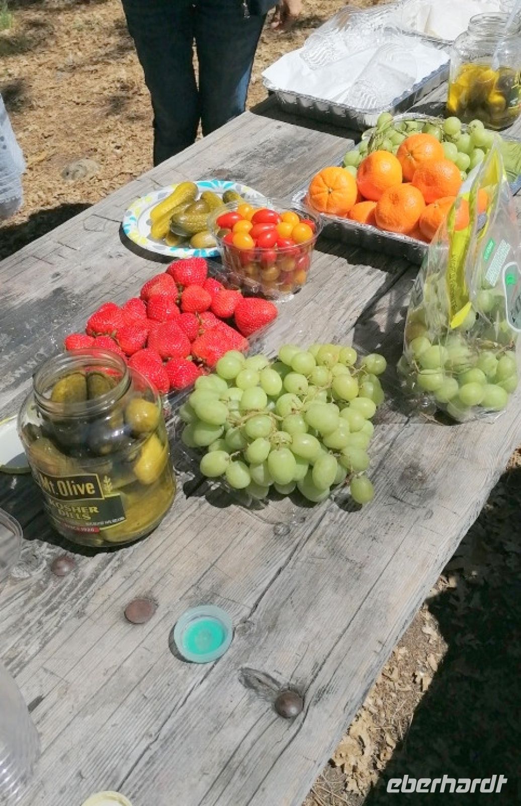 217 Picknick im Yosemite NP