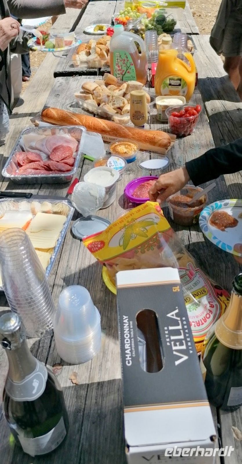 219 Picknick im Yosemite NP