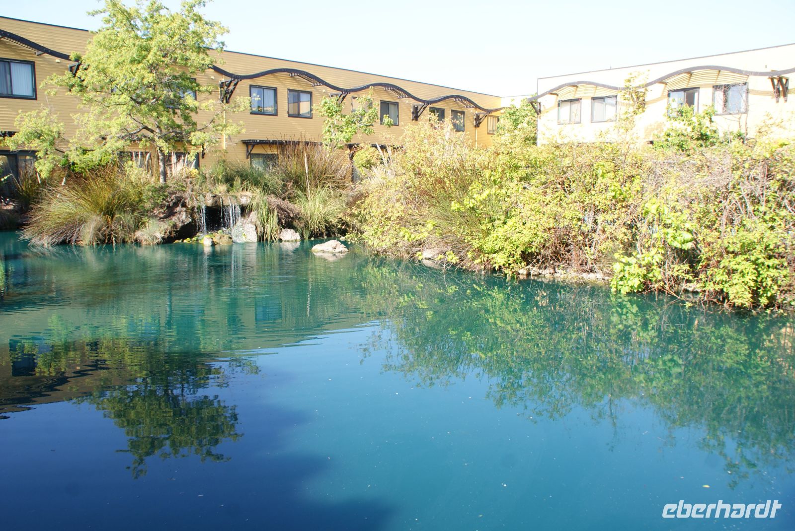 239 Hilton Hotel Nappa