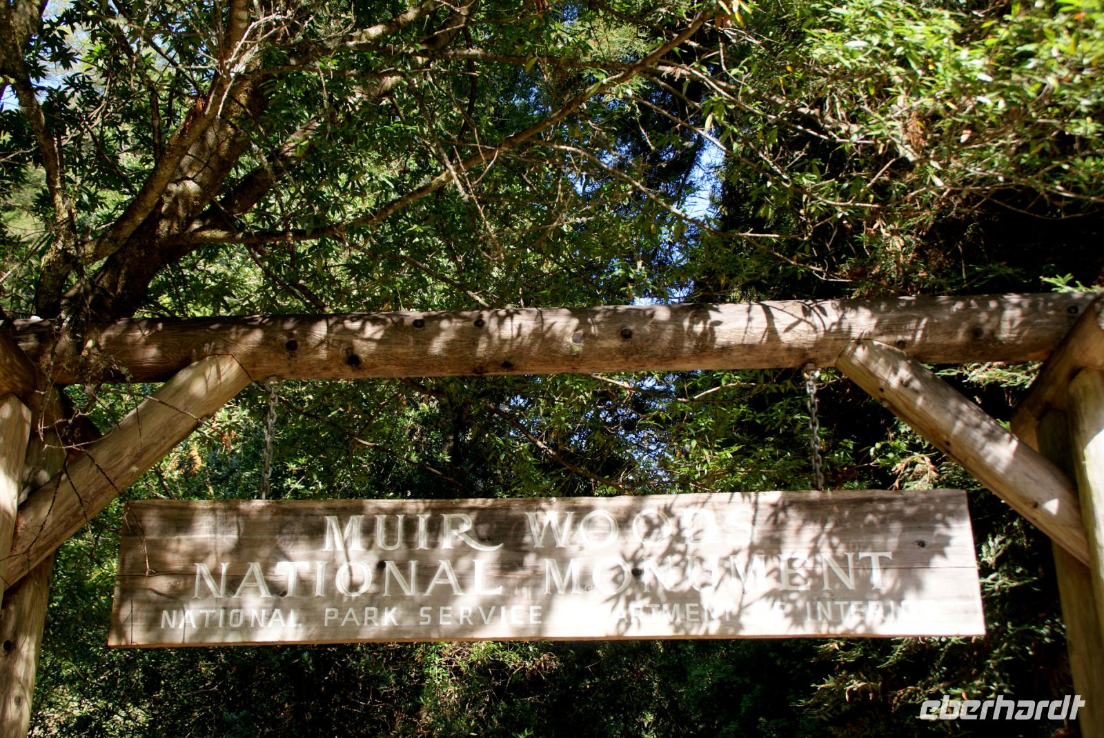 240 Wanderung Muir Woods