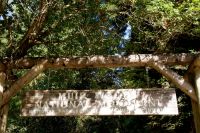 240 Wanderung Muir Woods