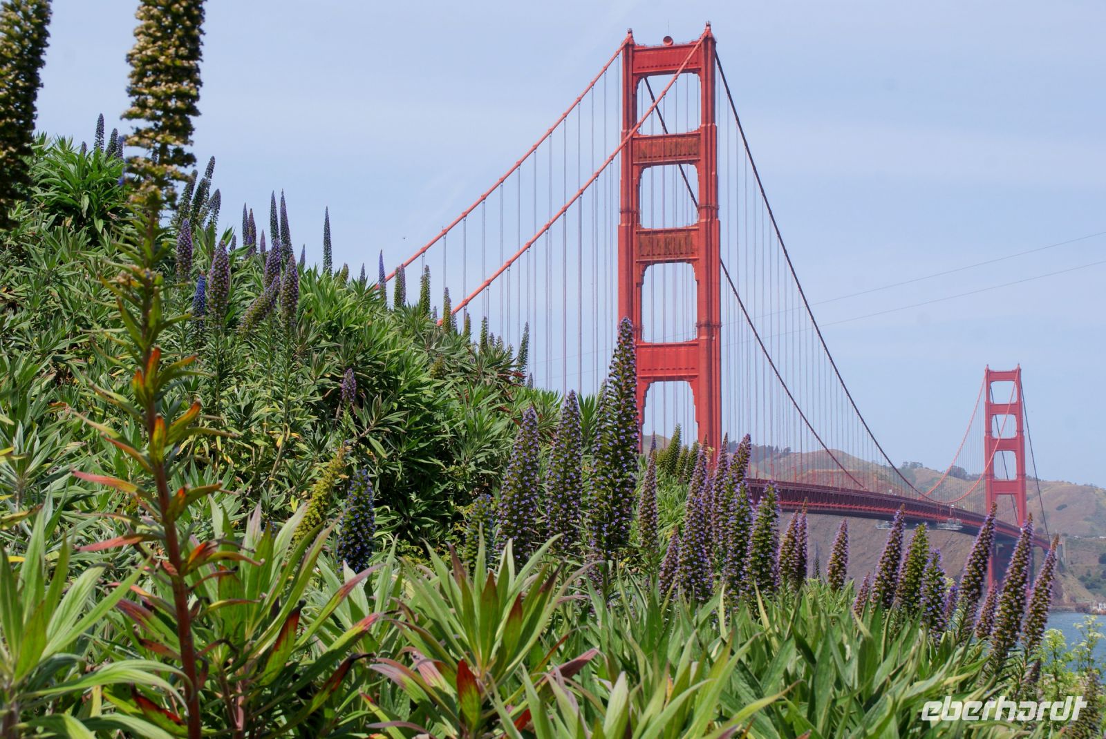 247 Golden Gate Bridge