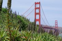 247 Golden Gate Bridge