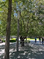 Survivor Tree 9/11 memorial