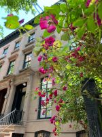 Brooklyn Brownstone House