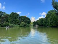 Ruderboot fahren im Central Park