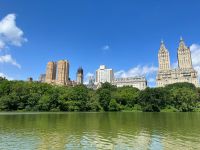 Ruderboot fahren im Central Park