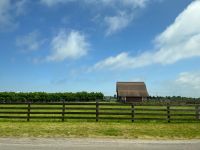 Fahrt nach Long Island