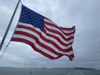 6C265FDC-9647-4628-9034-A2A70F1E7B40