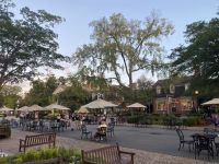 722EDE59-D637-4921-B95F-7CCFEDADD22B