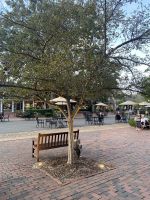 3E8A8E87-526D-4FA2-A02C-D3FD9BB39E10