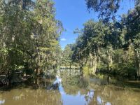 873C0370-D8BC-426C-95A9-B2267FF859B4