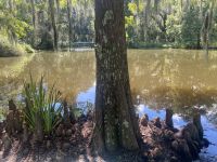 334E99CA-A1E4-4A87-A45B-04313FFD7E28