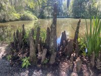 D948F137-9449-41D4-9328-C2D7D435F30B